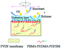 Graphical abstract: Improved antifouling property of PVDF membranes by incorporating an amphiphilic block-like copolymer for oil/water emulsion separation