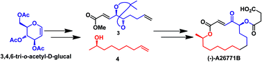 Graphical abstract: Glycal approach to the synthesis of macrolide (−)-A26771B