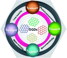 Graphical abstract: Fluorescent graphene quantum dots for biosensing and bioimaging