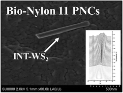 Graphical abstract: Bio-based polymer nanocomposites based on nylon 11 and WS2 inorganic nanotubes