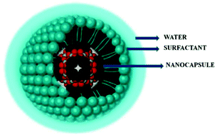 Graphical abstract: Aqueous solubilization of hydrophobic supramolecular metal–organic nanocapsules