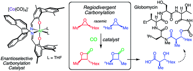 Graphical abstract: Enantioenriched β-lactone and aldol-type products from regiodivergent carbonylation of racemic cis-epoxides