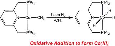 Graphical abstract: Oxidative addition and C–H activation chemistry with a PNP pincer-ligated cobalt complex