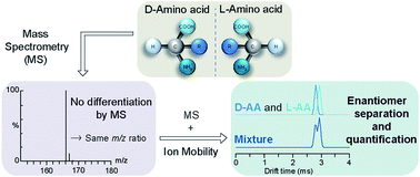 Graphical abstract: Enantiomeric differentiation of aromatic amino acids using traveling wave ion mobility-mass spectrometry