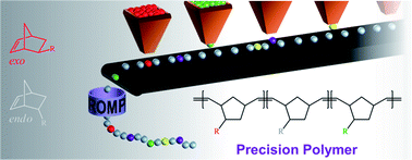 Graphical abstract: Precision polymers: a kinetic approach for functional poly(norbornenes)