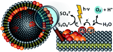 Graphical abstract: Photocatalytic water oxidation at soft interfaces
