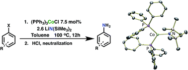 Graphical abstract: A synthetic and mechanistic investigation into the cobalt(i) catalyzed amination of aryl halides