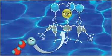 Graphical abstract: Selective recognition of fluoride anion in water by a copper(ii) center embedded in a hydrophobic cavity