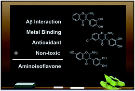 Graphical abstract: Interaction and reactivity of synthetic aminoisoflavones with metal-free and metal-associated amyloid-β