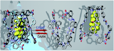Graphical abstract: Reversible photocontrolled disintegration of a dimeric tetraurea-calix[4]pyrrole capsule with all-trans appended azobenzene units