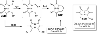 Graphical abstract: Mechanistic investigations reveal that dibromobimane extrudes sulfur from biological sulfhydryl sources other than hydrogen sulfide