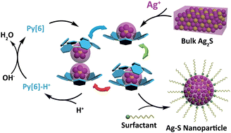 Graphical abstract: A macrocycle-assisted nanoparticlization process for bulk Ag2S