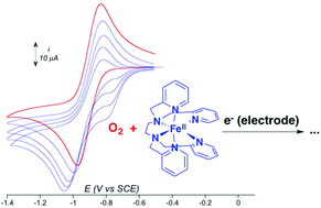 Graphical abstract: Electrochemical study of a nonheme Fe(ii) complex in the presence of dioxygen. Insights into the reductive activation of O2 at Fe(ii) centers