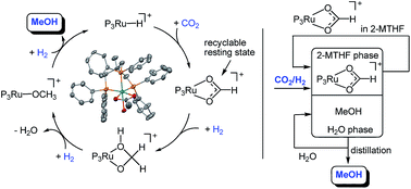 Graphical abstract: Hydrogenation of carbon dioxide to methanol using a homogeneous ruthenium–Triphos catalyst: from mechanistic investigations to multiphase catalysis