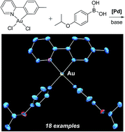Graphical abstract: Suzuki–Miyaura coupling of arylboronic acids to gold(iii)