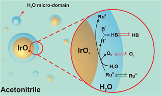 Graphical abstract: Catalysis of water oxidation in acetonitrile by iridium oxide nanoparticles