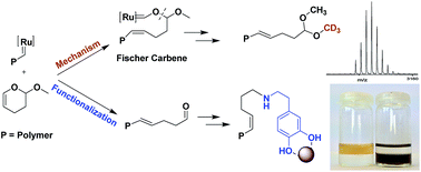 Graphical abstract: End functional ROMP polymers via degradation of a ruthenium Fischer type carbene