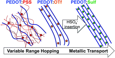 Graphical abstract: Metallic behaviour of acid doped highly conductive polymers