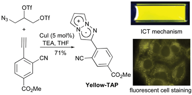 Graphical abstract: Synthesis of yellow and red fluorescent 1,3a,6a-triazapentalenes and the theoretical investigation of their optical properties