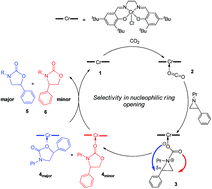 Graphical abstract: Intramolecular ring-opening from a CO2-derived nucleophile as the origin of selectivity for 5-substituted oxazolidinone from the (salen)Cr-catalyzed [aziridine + CO2] coupling