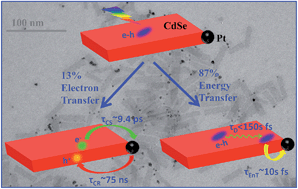 Graphical abstract: Ultrafast exciton quenching by energy and electron transfer in colloidal CdSe nanosheet–Pt heterostructures