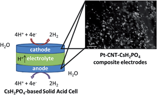 Graphical abstract: Platinum-decorated carbon nanotubes for hydrogen oxidation and proton reduction in solid acid electrochemical cells