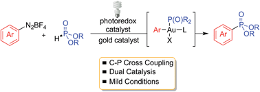 Graphical abstract: A dual catalytic strategy for carbon–phosphorus cross-coupling via gold and photoredox catalysis