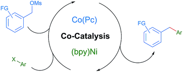 Graphical abstract: Cobalt co-catalysis for cross-electrophile coupling: diarylmethanes from benzyl mesylates and aryl halides