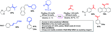 Graphical abstract: Direct catalytic cross-coupling of alkenyllithium compounds