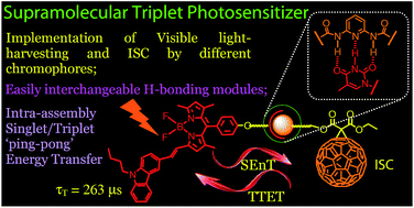 Graphical abstract: Bodipy–C60 triple hydrogen bonding assemblies as heavy atom-free triplet photosensitizers: preparation and study of the singlet/triplet energy transfer