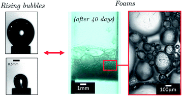 Graphical abstract: Foams stabilised by mixtures of nanoparticles and oppositely charged surfactants: relationship between bubble shrinkage and foam coarsening