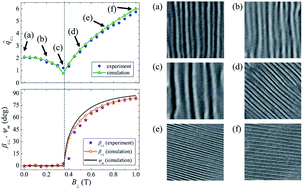 Graphical abstract: Magnetic control of flexoelectric domains in a nematic fluid