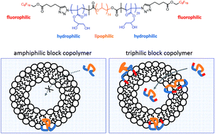 Graphical abstract: Binding of amphiphilic and triphilic block copolymers to lipid model membranes: the role of perfluorinated moieties