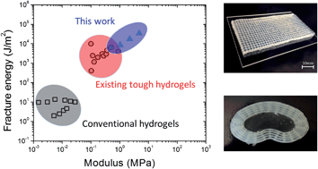 Graphical abstract: Design of stiff, tough and stretchy hydrogel composites via nanoscale hybrid crosslinking and macroscale fiber reinforcement