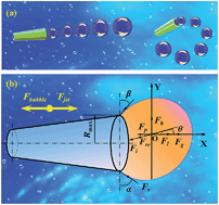 Graphical abstract: Hydrodynamics and propulsion mechanism of self-propelled catalytic micromotors: model and experiment
