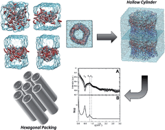 Graphical abstract: How does growth hormone releasing hexapeptide self-assemble in nanotubes?