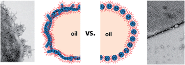Graphical abstract: Are block copolymer worms more effective Pickering emulsifiers than block copolymer spheres?