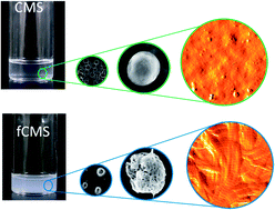 Graphical abstract: Fabrication of fibrillized collagen microspheres with the microstructure resembling an extracellular matrix