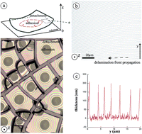 Graphical abstract: Striped patterns induced by delamination of drying colloidal films