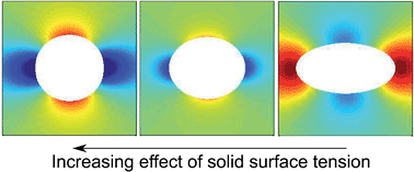 Graphical abstract: Surface tension and the mechanics of liquid inclusions in compliant solids