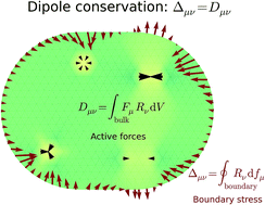 Graphical abstract: Connecting local active forces to macroscopic stress in elastic media