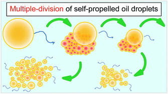 Graphical abstract: Multiple-division of self-propelled oil droplets through acetal formation