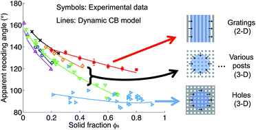 Graphical abstract: A dynamic Cassie–Baxter model