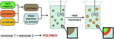 Graphical abstract: Thermally induced release from polymeric microparticles with liquid core: the mechanism