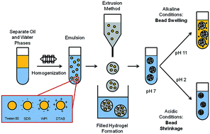 Graphical abstract: Retention and release of oil-in-water emulsions from filled hydrogel beads composed of calcium alginate: impact of emulsifier type and pH