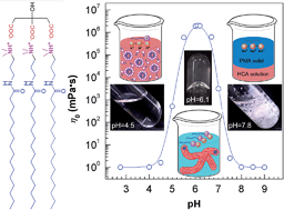 Graphical abstract: Bell-shaped sol–gel–sol conversions in pH-responsive worm-based nanostructured fluid
