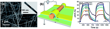 Graphical abstract: Ultrasensitive single crystalline TeO2 nanowire based hydrogen gas sensors
