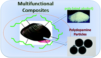 Graphical abstract: Polydopamine particles for next-generation multifunctional biocomposites