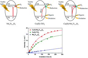 Graphical abstract: Cu(ii) nanocluster-grafted, Nb-doped TiO2 as an efficient visible-light-sensitive photocatalyst based on energy-level matching between surface and bulk states