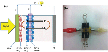 Graphical abstract: Rational design of hybrid dye-sensitized solar cells composed of double-layered photoanodes with enhanced power conversion efficiency